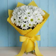 Букет цветов из:  Хризантемы в Струги Красные