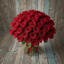 Букет 55 Красных роз Фридом #REPLACE_PRED# Струги Красные