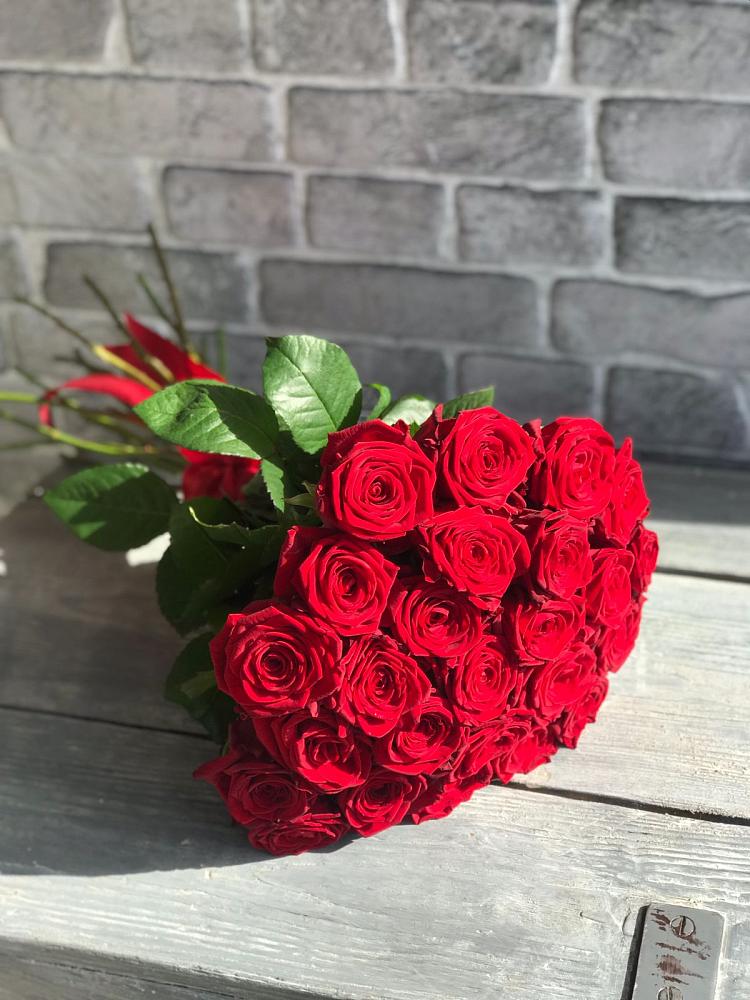 Букет Красные розы Фридом в Струги Красные