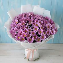 Букет цветов из:  Хризантемы в Струги Красные