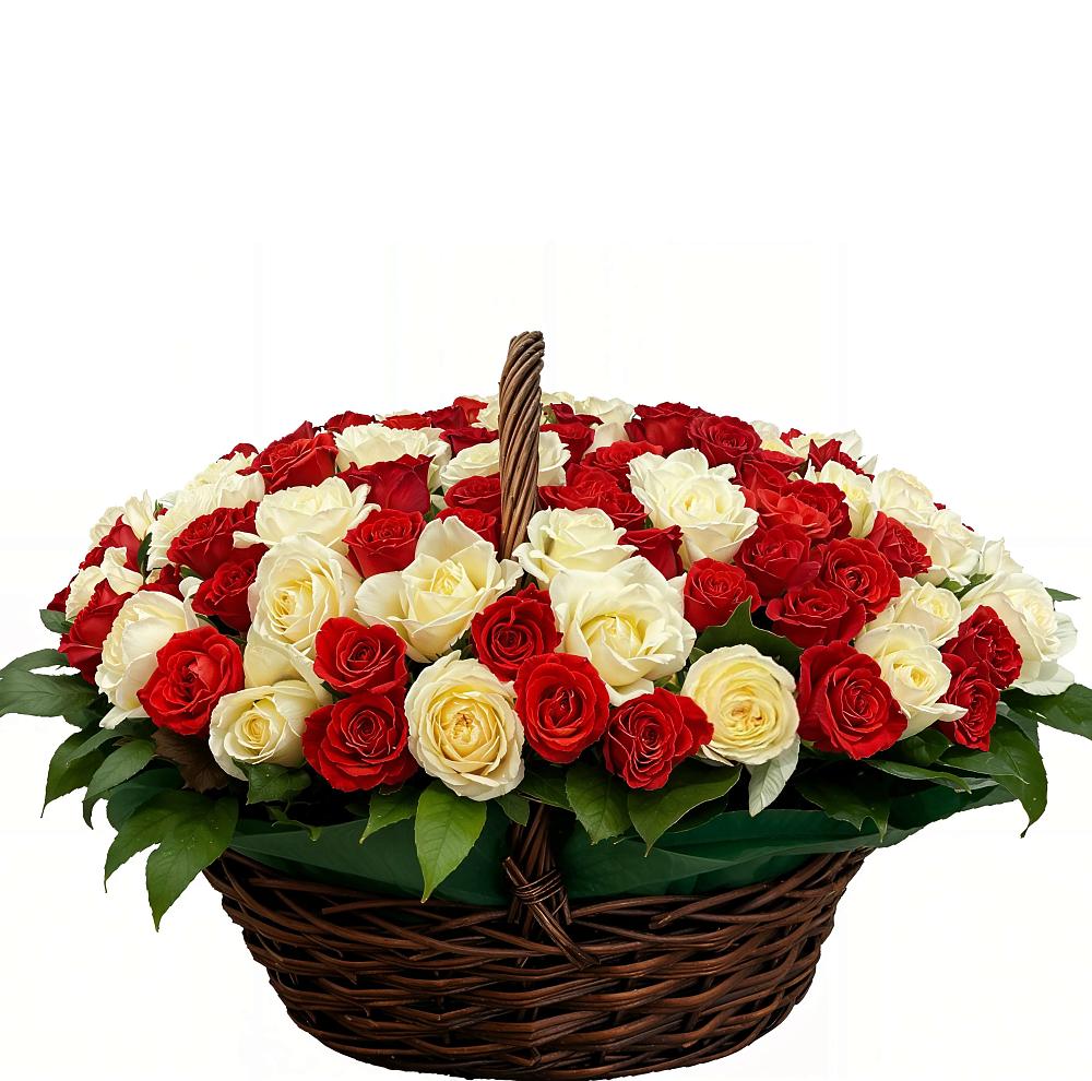 Премиум букет из: Розы в Струги Красные