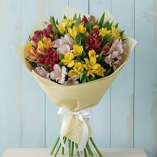 Букет цветов из:  Альстромерии в Струги Красные