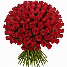 Букет Красные розы Чери Лав #REPLACE_PRED# Струги Красные